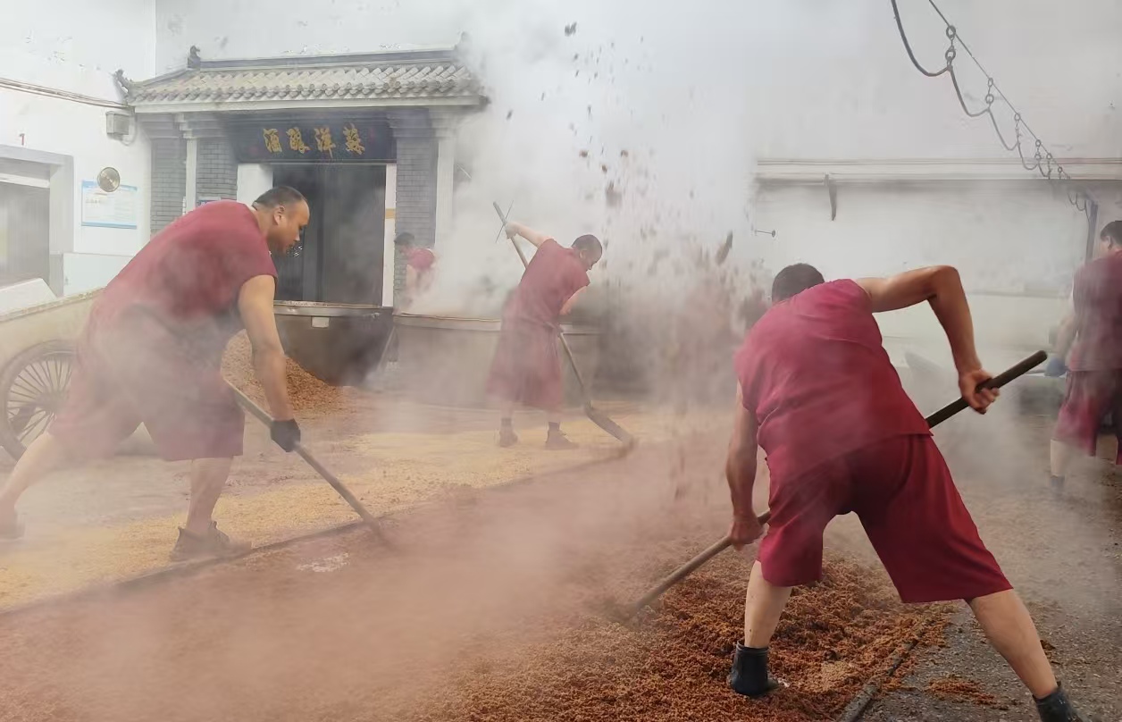 糟坊烟火代代传,固态古法酿真粮——苏洋酿酒的时光匠心